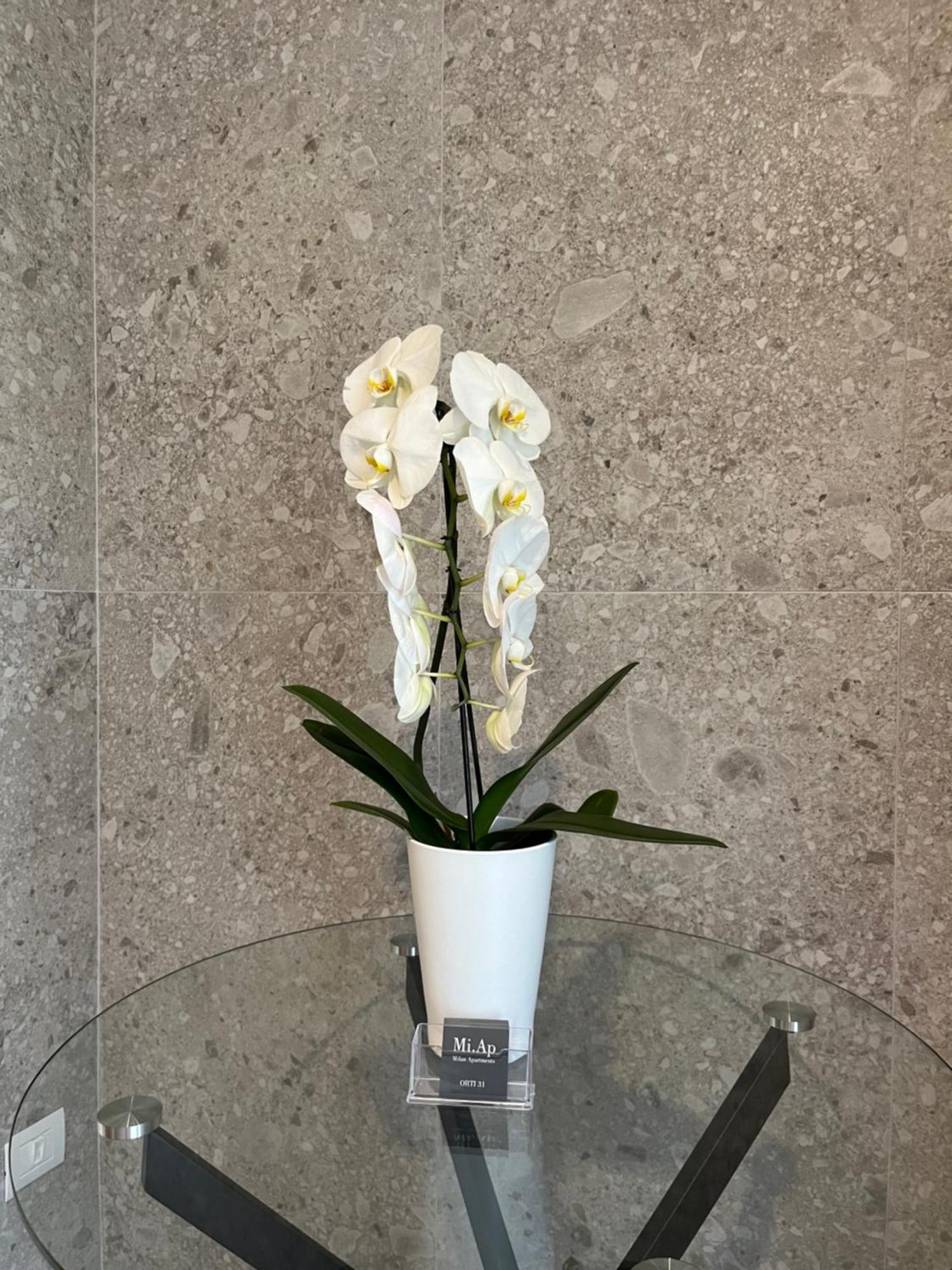 Miap Orti 31 Apartment Milan Luaran gambar